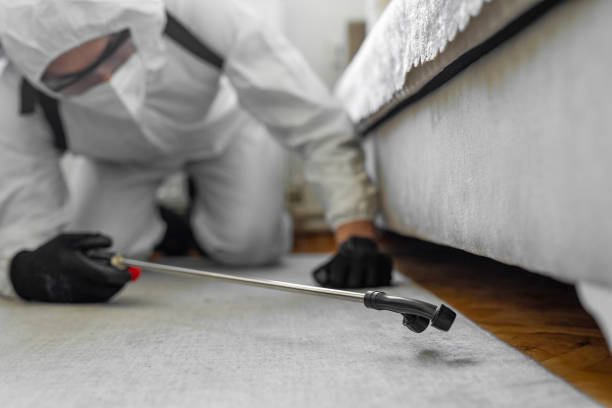 Professional Bed Bug Control technician working in Lakes of the Four Seasons, IN